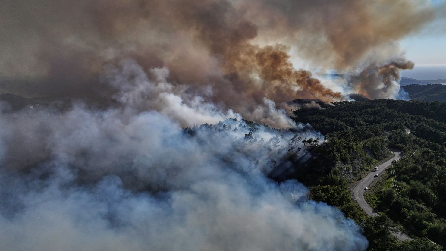 Wildfire digital twin